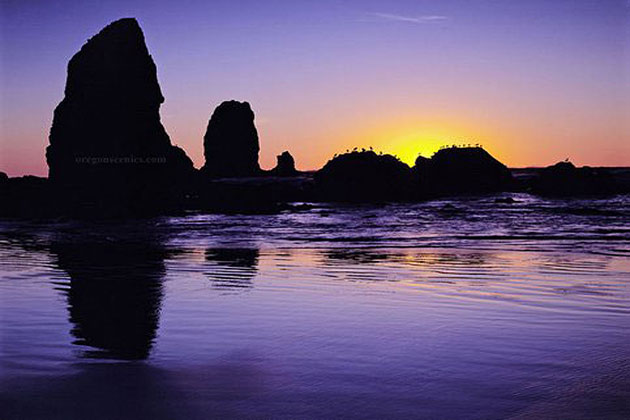 Needles sunset