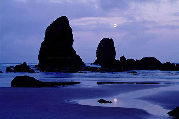 Needles with moon
