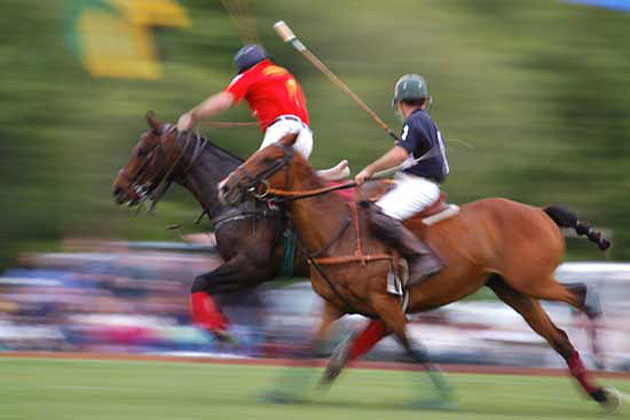 Polo