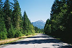 Mt Loop Hwy