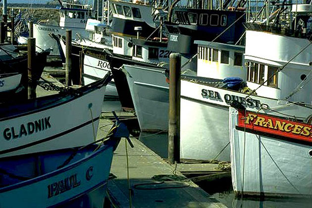 Crescent City Harbor