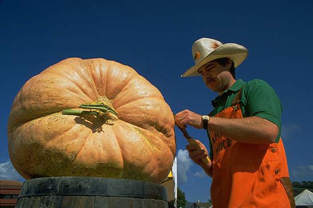 Pumpkin Festival