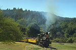 Roaring Camp