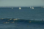 Santa Cruz Surfing