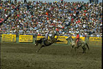 Red Bluff Round Up