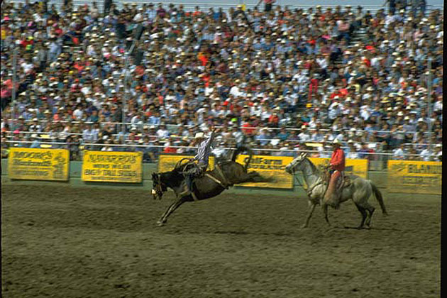 Red Bluff Round Up