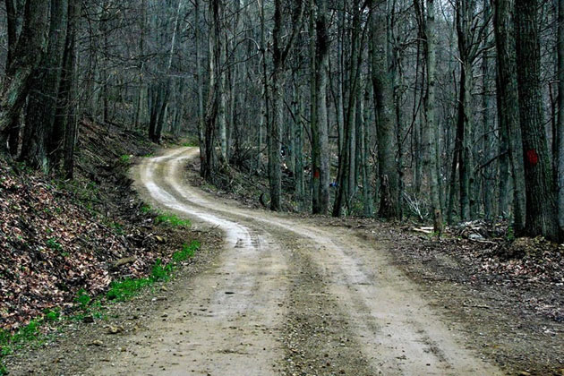 White Oak Hill Rd - Pike County