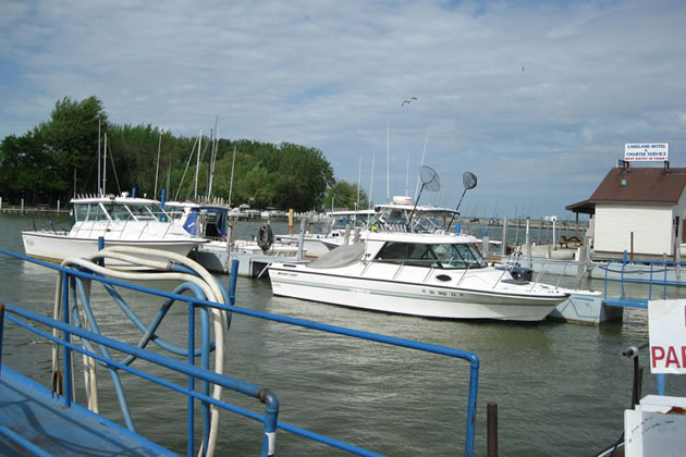 Lake Erie Fishing Charters