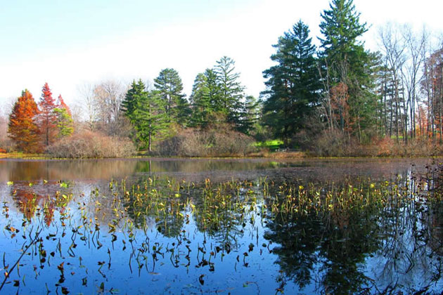 Holden Arboretum