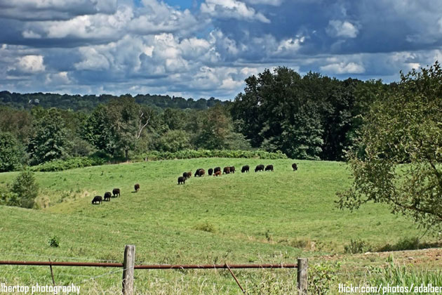 Wooster Area Farm