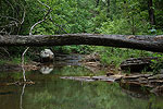 Poteau Creek