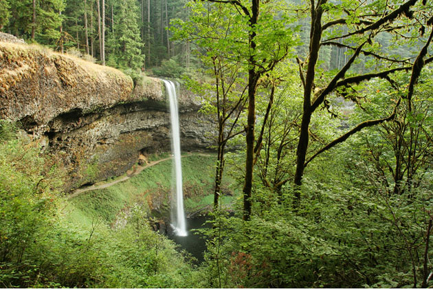 Attractions Silver Falls State Park