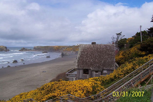 Coastal Beauty