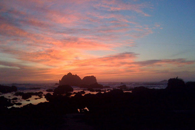 Coastal Splendor