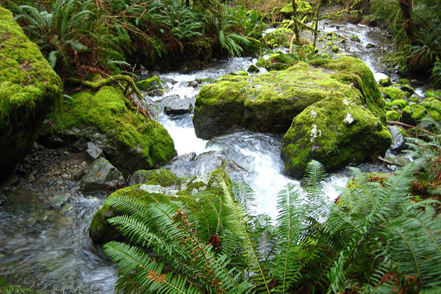 Tranquil Places