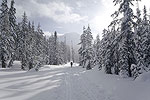 Year-Round Recreation