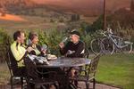 Pedal for Pinot