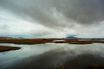 Tranquil Refuge