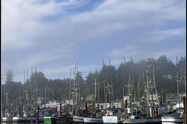 Marine Culture