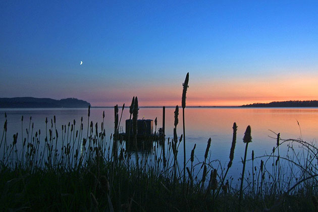 Quiet Beauty