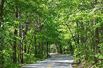 Oak Mountain