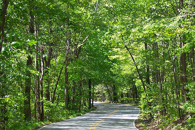 Oak Mountain