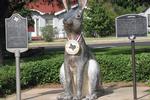 Jack Ben Rabbit