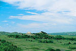 Old Baldy
