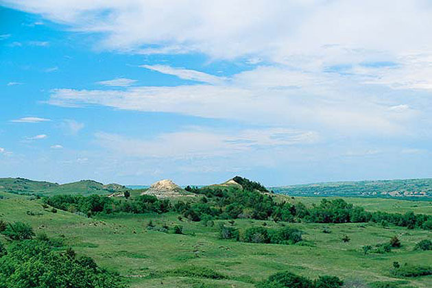 Old Baldy