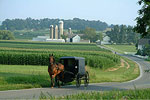 Amish Farm
