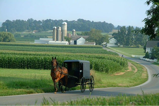 Amish Farm