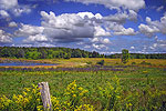 Erie National Wildlife Refuge