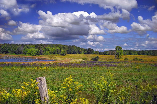 Erie National Wildlife Refuge