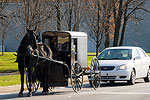 Lancaster County Amish