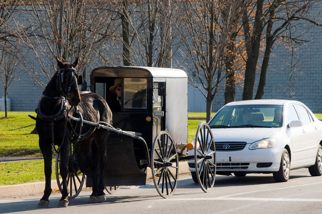 Lancaster County Amish