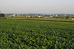 Lancaster County