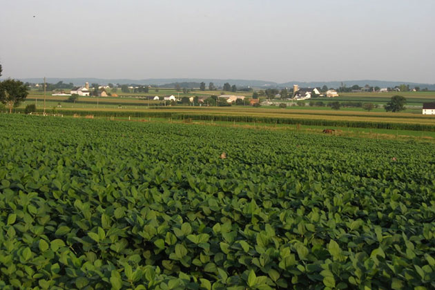 Lancaster County
