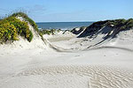 Padre Island National Seashore