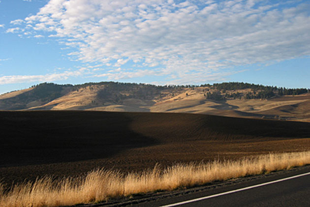 Kamiak Butte