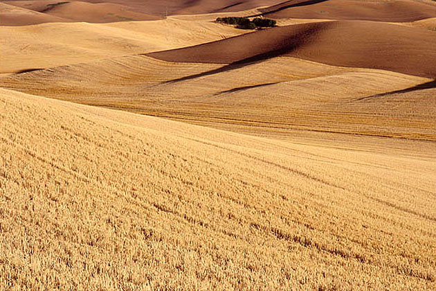 Palouse Region