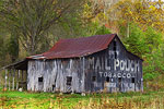 Mail Pouch Barns