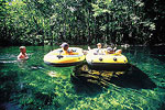 Ichetucknee Springs