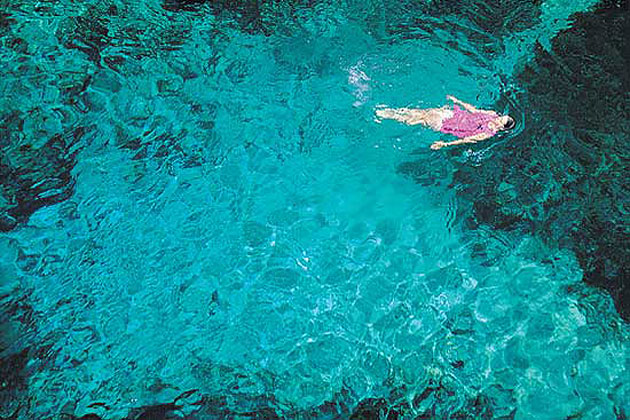 Snorkeling Fanning Springs