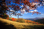 Fall Color Images