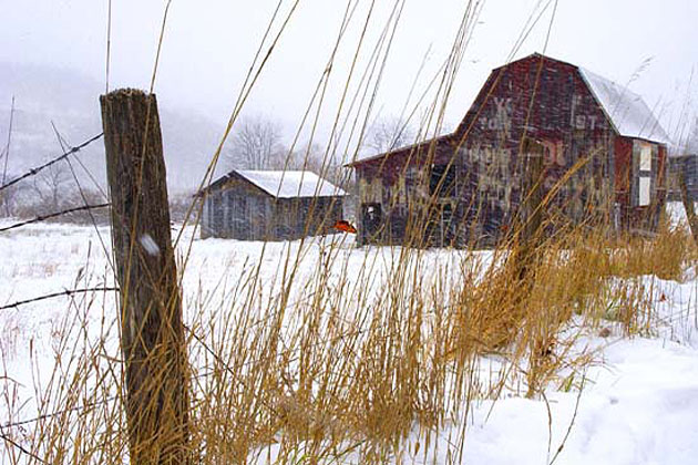 Mail Pouch Barns