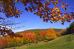 Fall Color Images