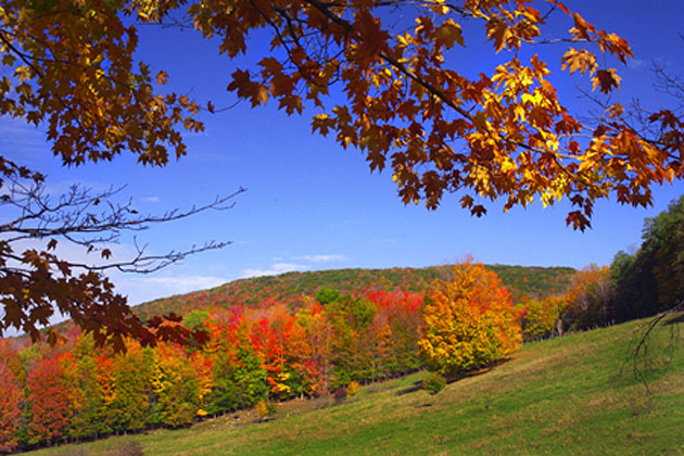 Fall Color Images