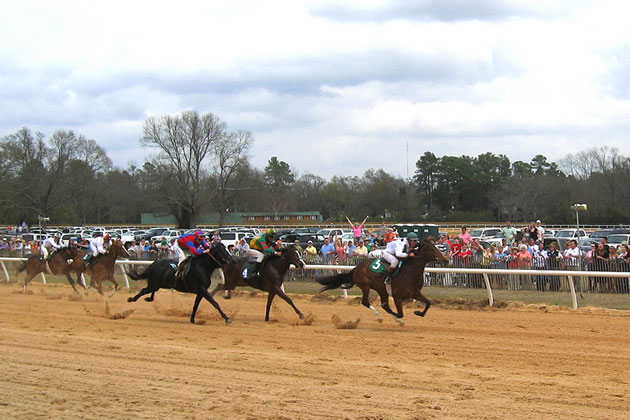 Day at the Races