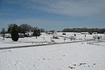 Snow Day