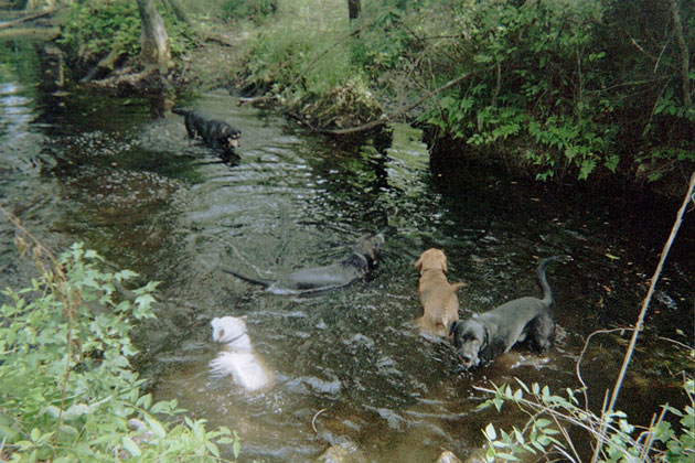 Nature's Bath
